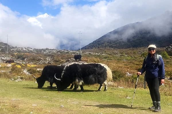 trek to langtang valley in monsoon