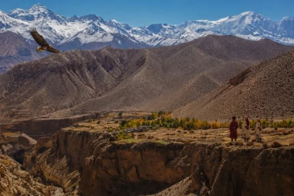 upper-mustang-trail