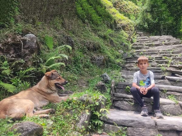Adventurous Hikers Ascending Stone Steps Towards Tadapani From Ghandruk