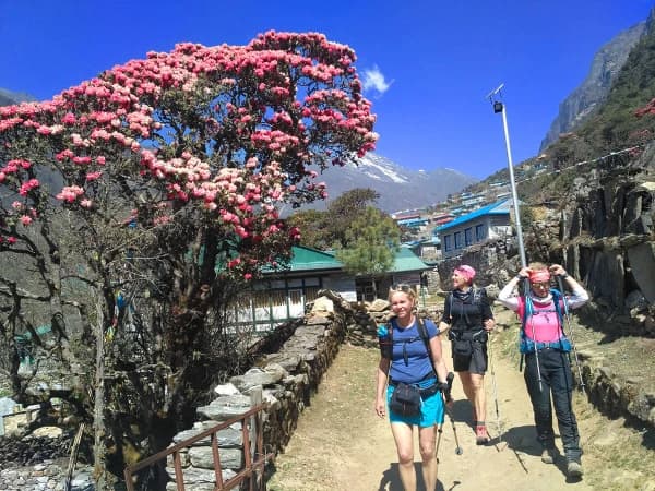 Everest 3 High Pass Trekking In Spring