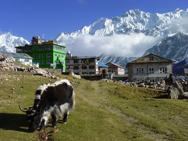 Kyanjin Gompa An Ancient Monastery
