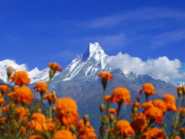 Machapuchare Fishtail Peak From Annapurna View Trek