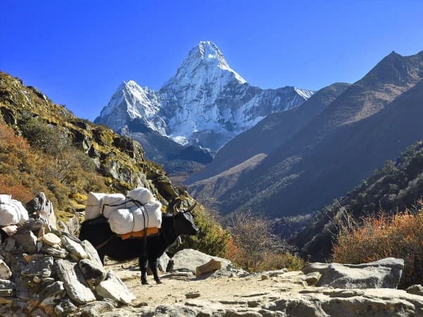 Mount Ama Dablam