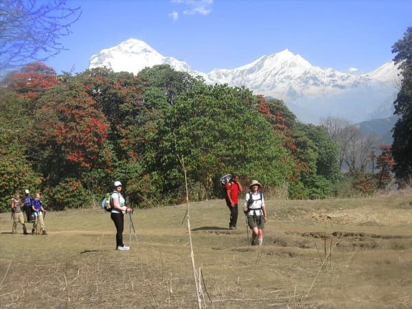Scenic Mountain Trail In Nepal At The Annapurna Region