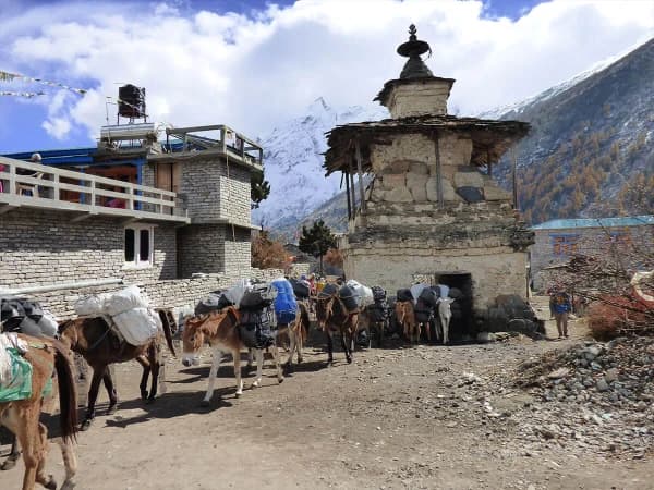 Spiritual Gate In Tsum Valley